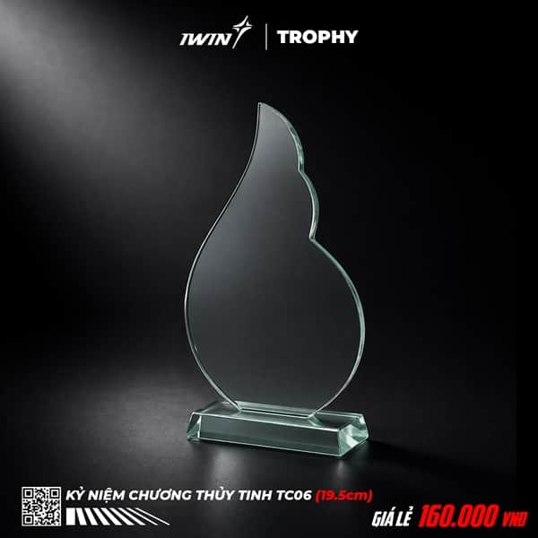 Kỷ Niệm Chương thuỷ tinh TC06