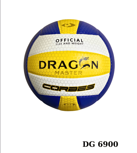 BÓNG CHUYỀN THĂNG LONG DG 6900